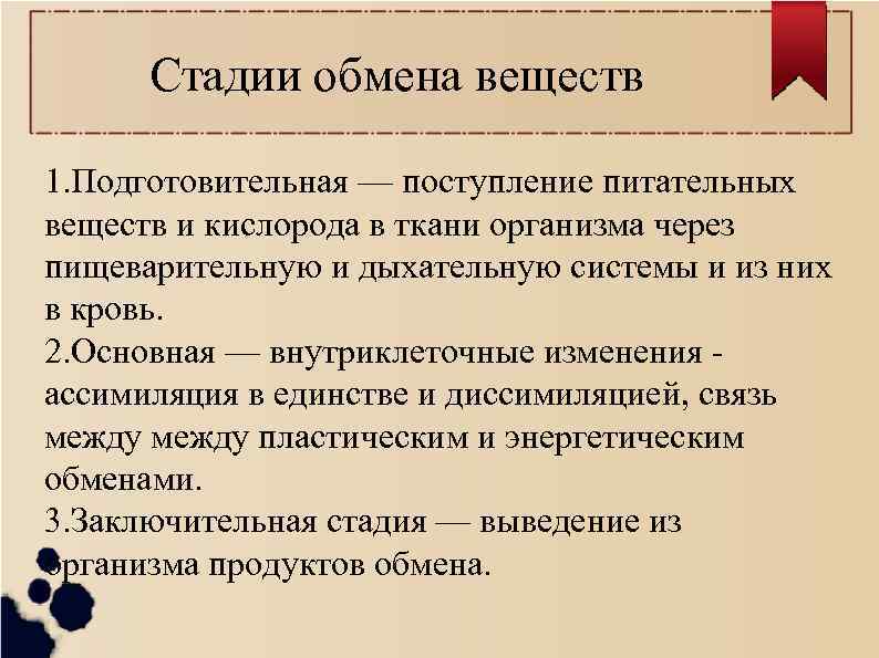 Конечные продукты подготовительного