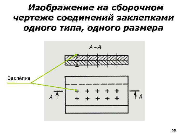  Изображение на сборочном чертеже соединений заклепками одного типа, одного размера Заклёпка 25 