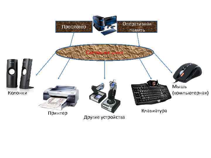 Процессор Оперативная память Системная шина Мышь (компьютерная) Колонки Принтер Клавиатура Другие устройства 