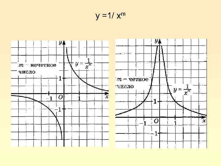 y =1/ xm 