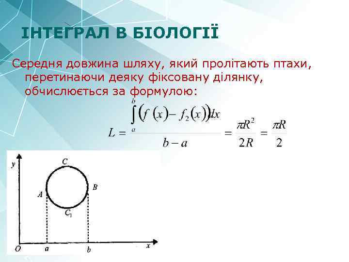 ІНТЕГРАЛ В БІОЛОГІЇ Середня довжина шляху, який пролітають птахи, перетинаючи деяку фіксовану ділянку, обчислюється