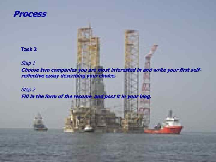 Process Task 2 Step 1 Choose two companies you are most interested in and