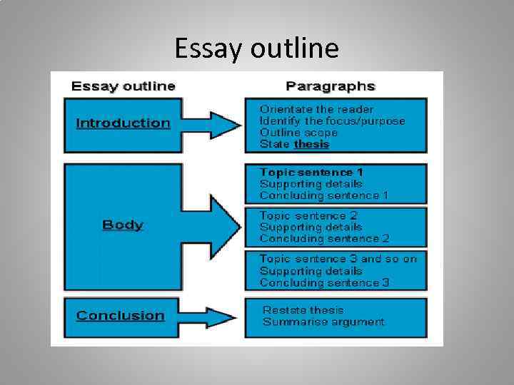 Essay outline 