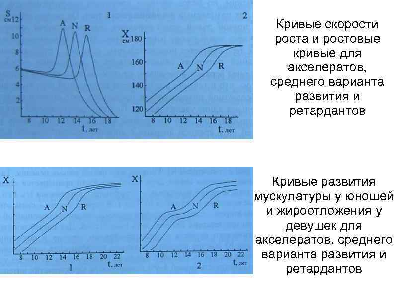 Кривая скорости