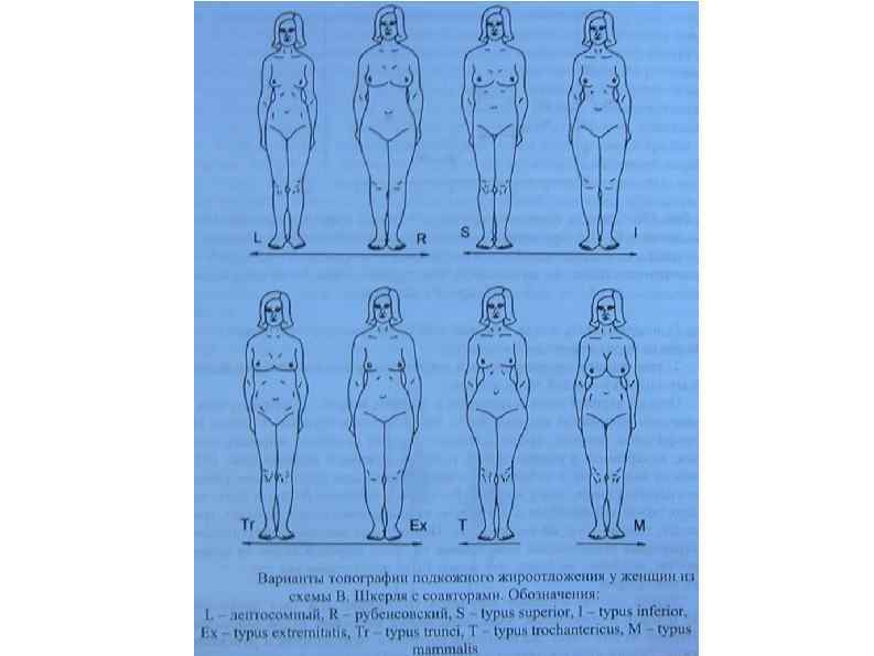 Схемы конституциональной диагностики в г штефко и а д островского