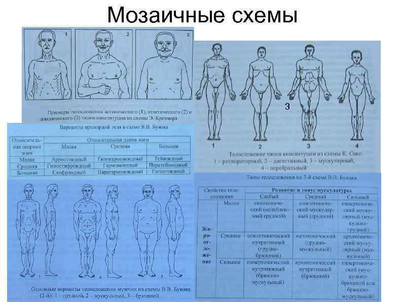Мозаичные схемы 3 