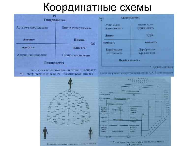 Координатные схемы 