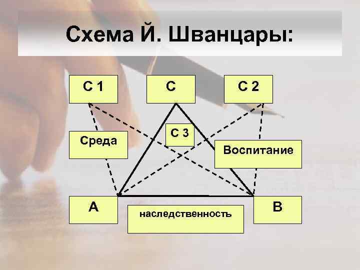 Схема Й. Шванцары: С 1 Среда А С С 2 С 3 Воспитание наследственность