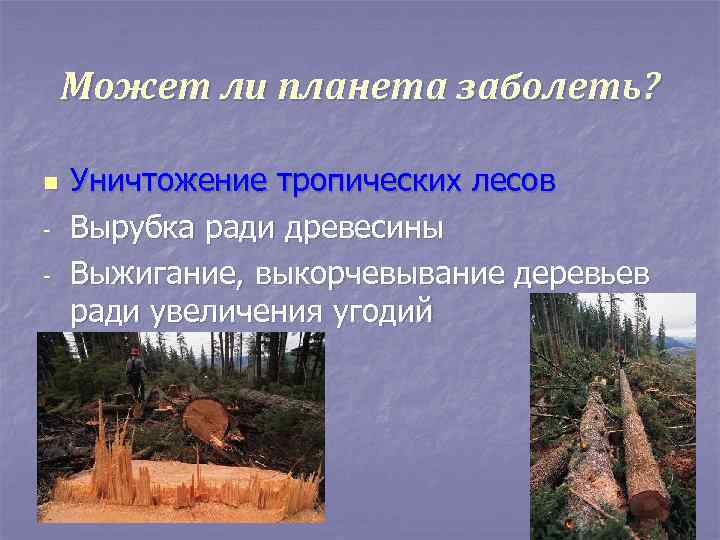 Может ли планета заболеть? n - Уничтожение тропических лесов Вырубка ради древесины Выжигание, выкорчевывание