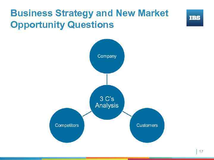 Business Strategy and New Market Opportunity Questions 17 