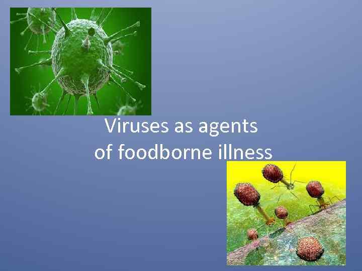 Viruses as agents of foodborne illness 