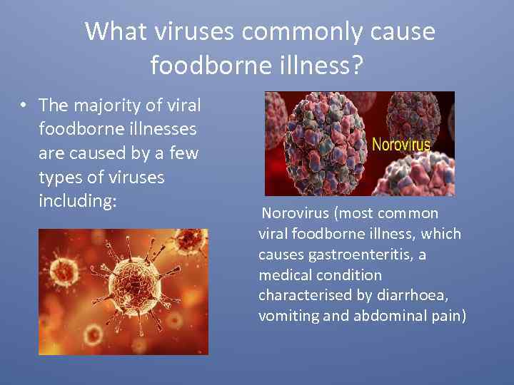 What viruses commonly cause foodborne illness? • The majority of viral foodborne illnesses are