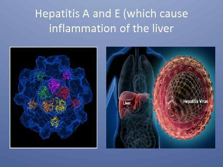 Hepatitis A and E (which cause inflammation of the liver 