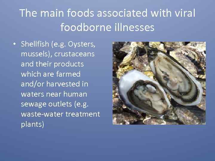 The main foods associated with viral foodborne illnesses • Shellfish (e. g. Oysters, mussels),