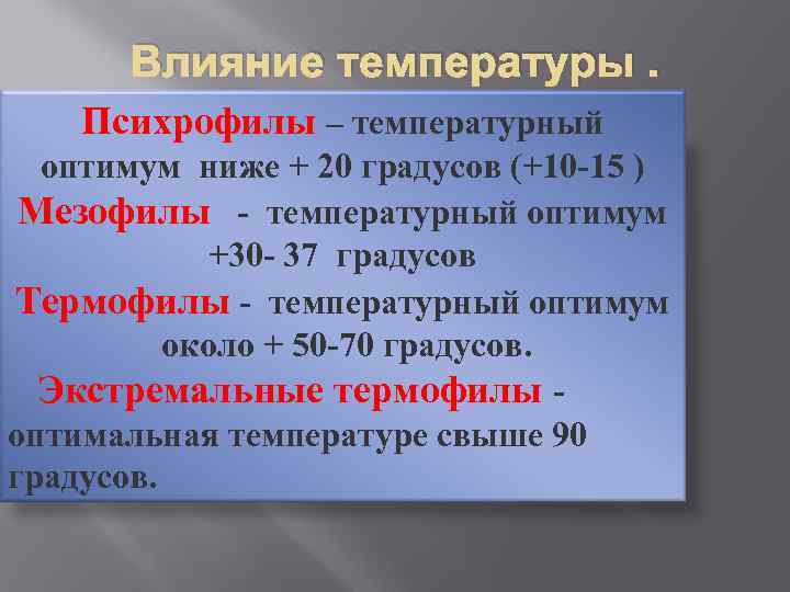 Влияние температуры. Психрофилы – температурный оптимум ниже + 20 градусов (+10 -15 ) Мезофилы