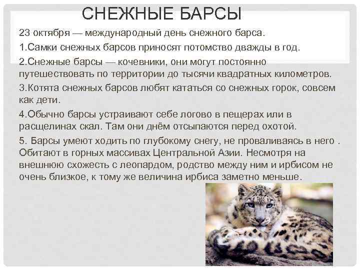 СНЕЖНЫЕ БАРСЫ 23 октября — международный день снежного барса. 1. Самки снежных барсов приносят