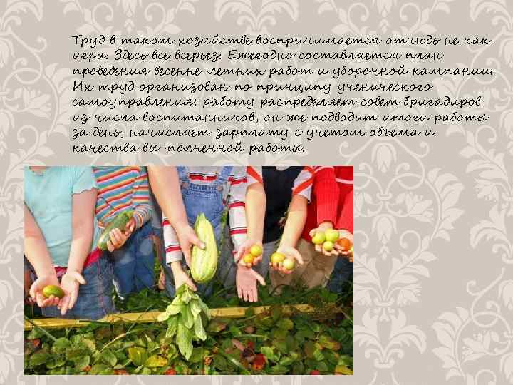 Труд в таком хозяйстве воспринимается отнюдь не как игра. Здесь всерьез. Ежегодно составляется план