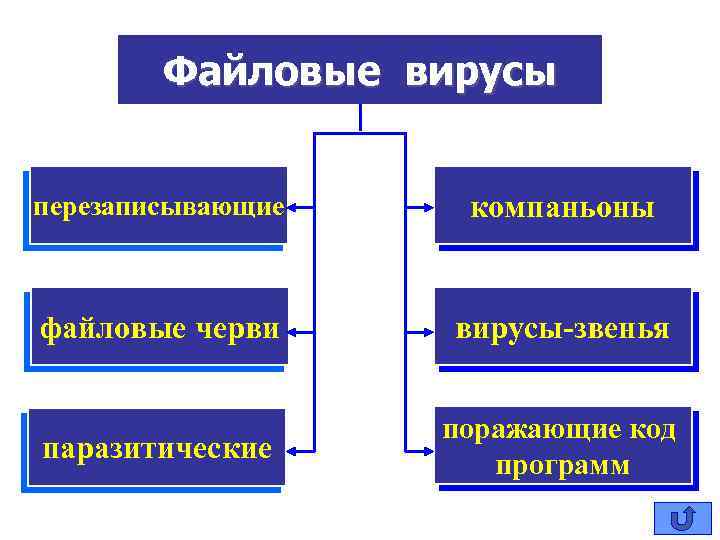 Файловые вирусы перезаписывающие компаньоны файловые черви вирусы-звенья паразитические поражающие код программ 