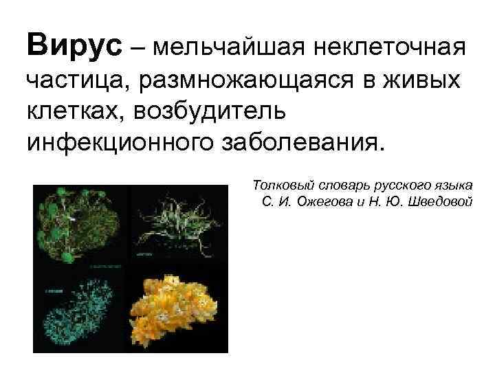 Вирус – мельчайшая неклеточная частица, размножающаяся в живых клетках, возбудитель инфекционного заболевания. Толковый словарь