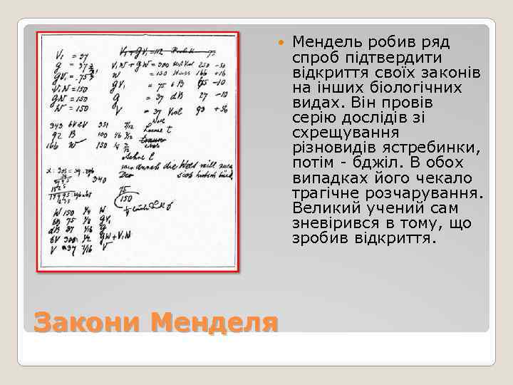  Закони Менделя Мендель робив ряд спроб підтвердити відкриття своїх законів на інших біологічних