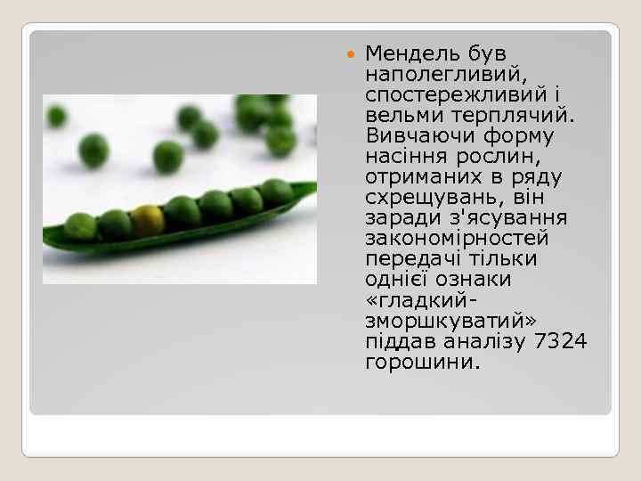  Мендель був наполегливий, спостережливий і вельми терплячий. Вивчаючи форму насіння рослин, отриманих в