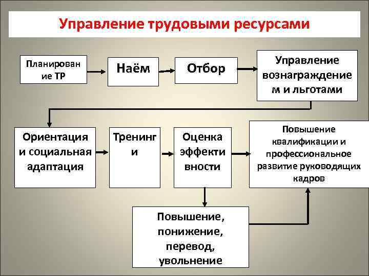 Планирование ресурсами организации