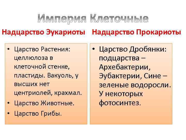 Надцарство Эукариоты Надцарство Прокариоты • Царство Растения: целлюлоза в клеточной стенке, пластиды. Вакуоль, у