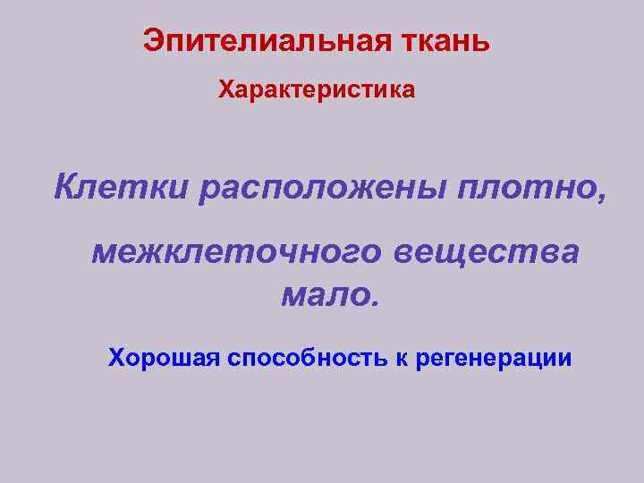 Эпителиальная ткань Характеристика Клетки расположены плотно, межклеточного вещества мало. Хорошая способность к регенерации 