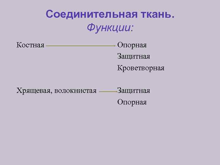 Соединительная ткань. Функции: Костная Опорная Защитная Кроветворная Хрящевая, волокнистая Защитная Опорная 