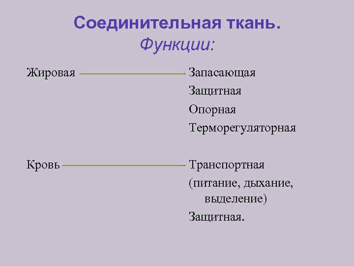 Соединительная ткань. Функции: Жировая Запасающая Защитная Опорная Терморегуляторная Кровь Транспортная (питание, дыхание, выделение) Защитная.