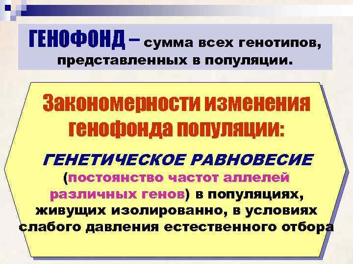 ГЕНОФОНД – сумма всех генотипов, представленных в популяции. Закономерности изменения генофонда популяции: ГЕНЕТИЧЕСКОЕ РАВНОВЕСИЕ