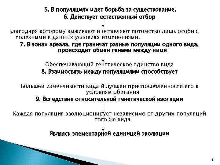 5. В популяциях идет борьба за существование. 6. Действует естественный отбор Благодаря которому выживают