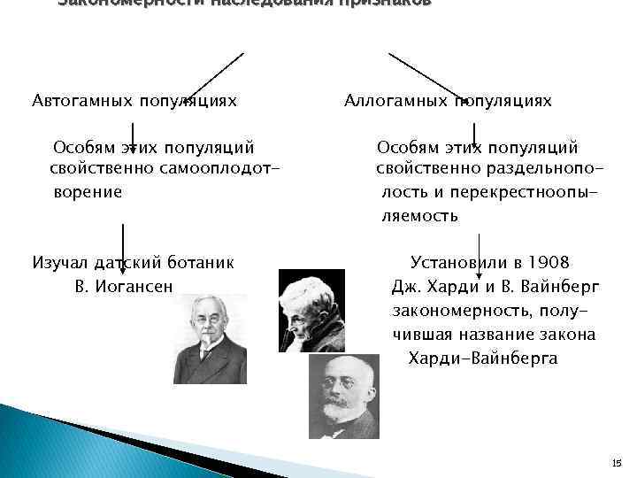 Закономерности наследования признаков Автогамных популяциях Особям этих популяций свойственно самооплодотворение Изучал датский ботаник В.