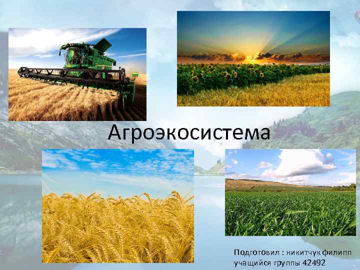 Агроэкосистема агроценоз как искусственное сообщество организмов презентация 9 класс