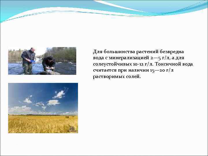 Для большинства растений безвредна вода с минерализацией 2— 5 г/л, а для солеустойчивых 10