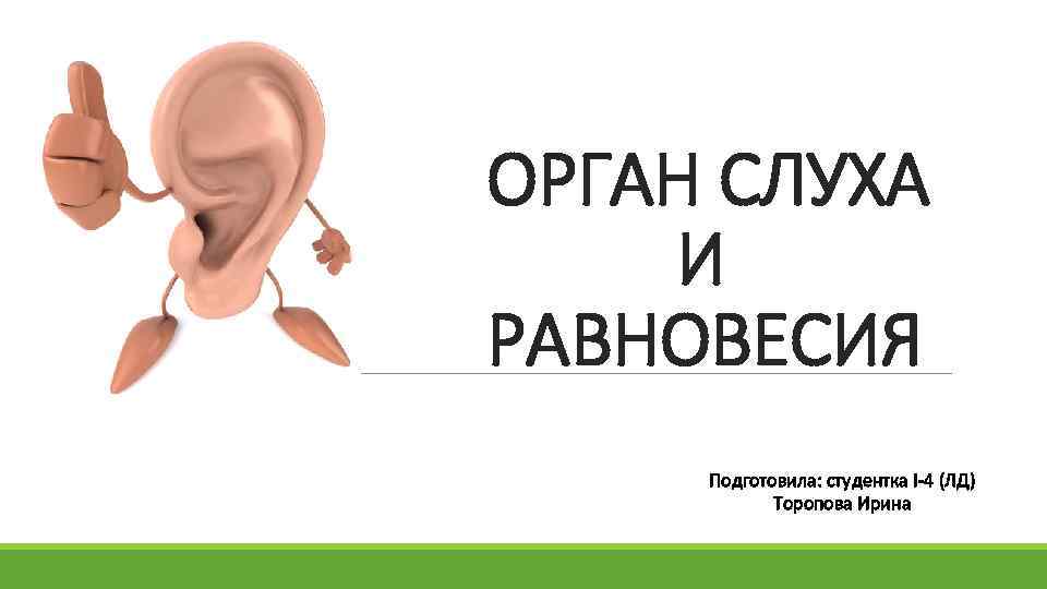 ОРГАН СЛУХА И РАВНОВЕСИЯ Подготовила: студентка I-4 (ЛД) Торопова Ирина 