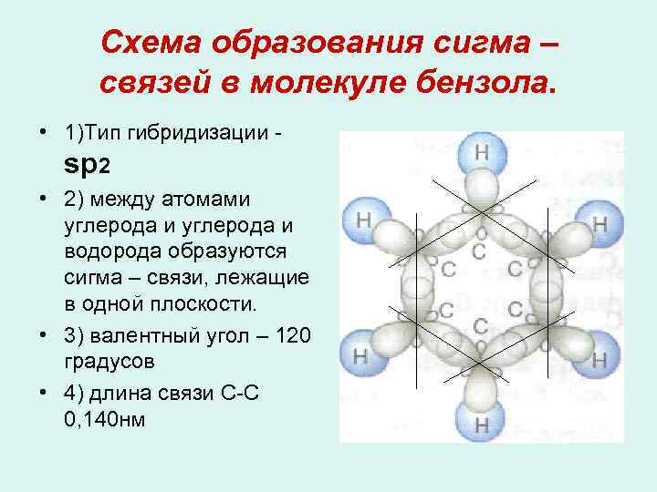 Схема образования сигма – связей в молекуле бензола. • 1)Тип гибридизации - sр2 •