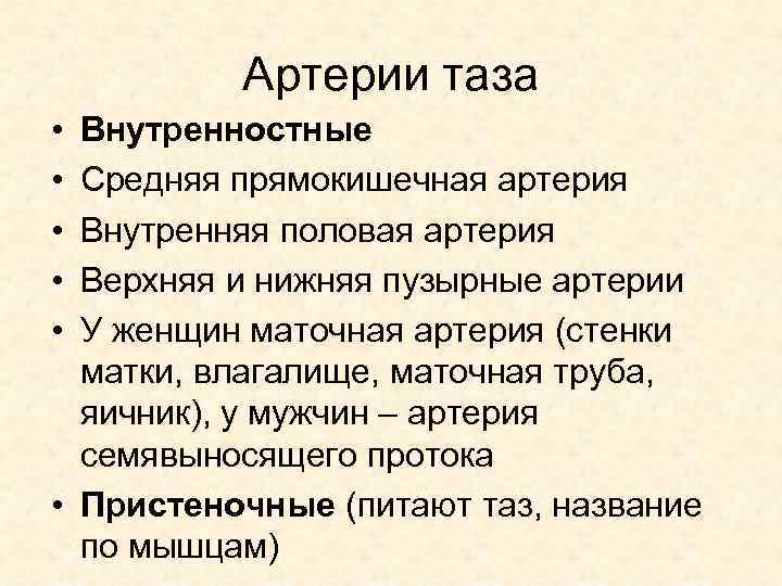 Артерии таза • • • Внутренностные Средняя прямокишечная артерия Внутренняя половая артерия Верхняя и