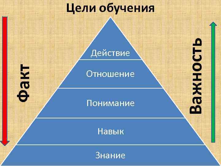 Факт Действие Отношение Понимание Навык Знание Важность Цели обучения 
