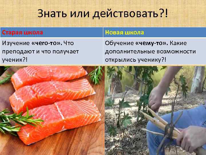 Знать или действовать? ! Старая школа Новая школа Изучение «чего-то» . Что преподают и