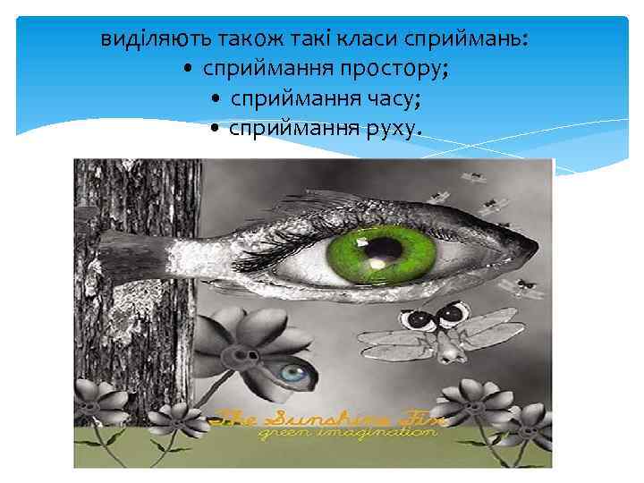 виділяють також такі класи сприймань: • сприймання простору; • сприймання часу; • сприймання руху.