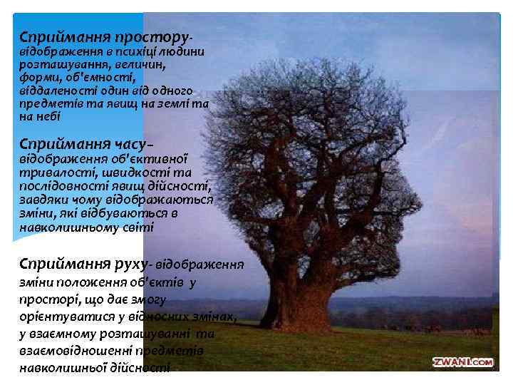 Сприймання простору- відображення в психіці людини розташування, величин, форми, об'ємності, віддаленості один від одного