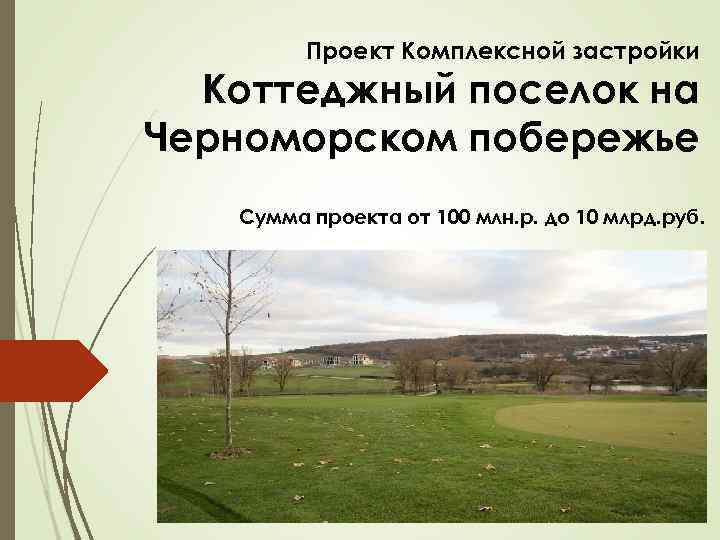 Проект Комплексной застройки Коттеджный поселок на Черноморском побережье Сумма проекта от 100 млн. р.
