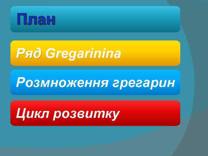 План Ряд Gregarinina Розмноження грегарин Цикл розвитку 