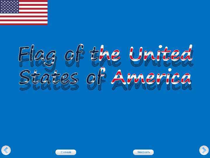 Flag of the United States of America 