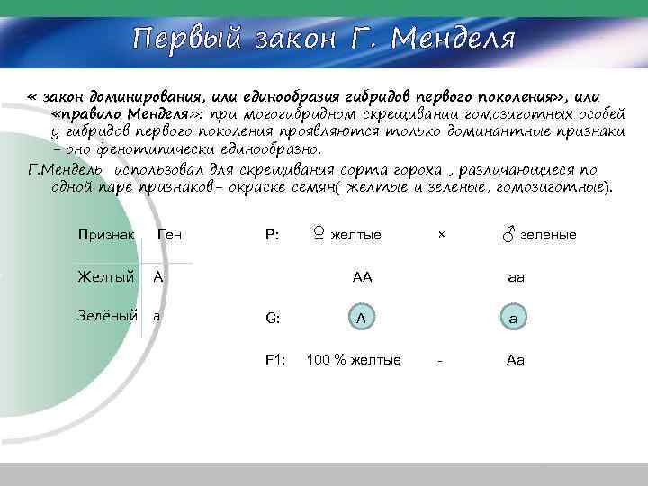 Первый закон Г. Менделя « закон доминирования, или единообразия гибридов первого поколения» , или
