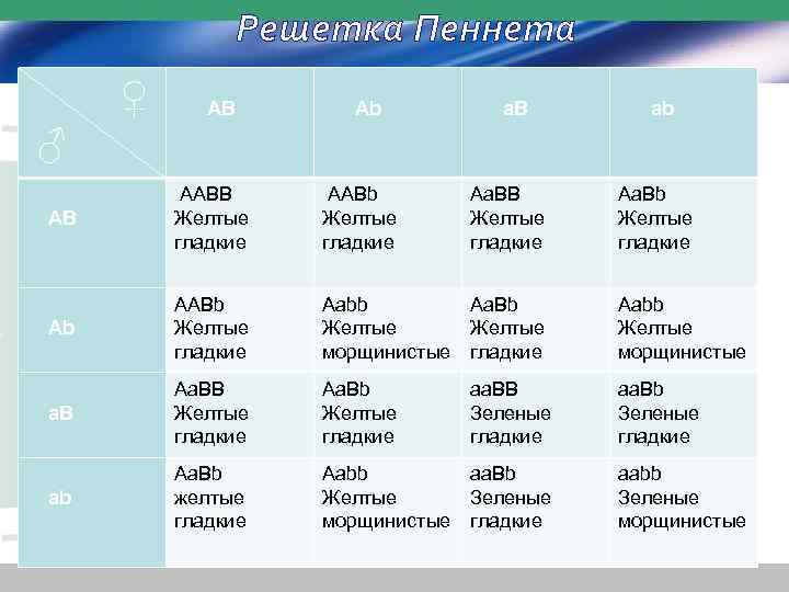 Решетка Пеннета ♀ AB Ab a. B ab ♂ AB AABB Желтые гладкие AABb