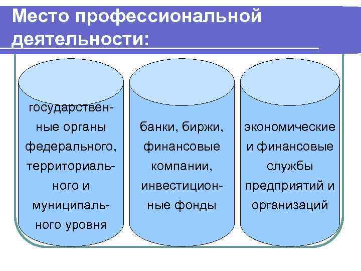 Место профессиональной деятельности: государственные органы федерального, территориального и муниципального уровня банки, биржи, финансовые компании,