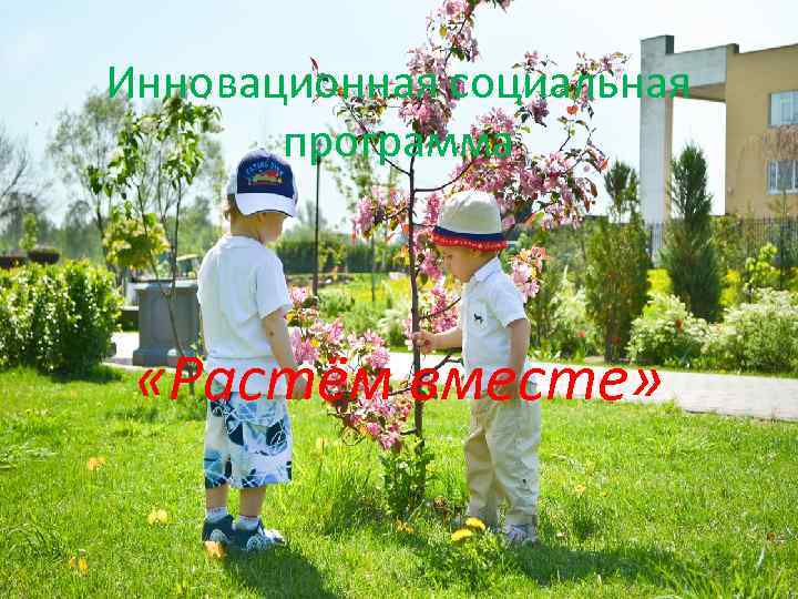 Инновационная социальная программа «Растём вместе» 