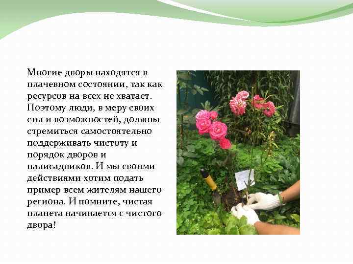 Многие дворы находятся в плачевном состоянии, так как ресурсов на всех не хватает. Поэтому